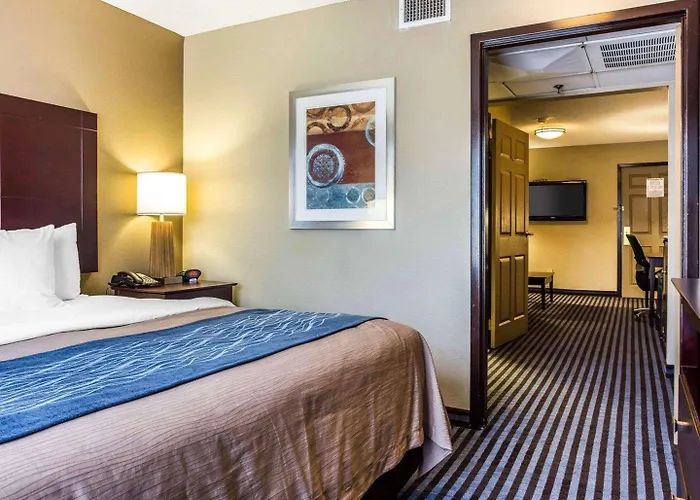 One-Bedroom King Suite