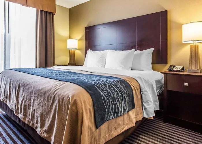 One-Bedroom King Suite